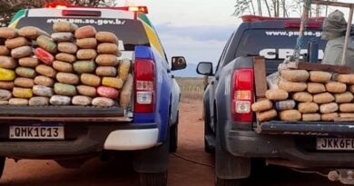 Polícia Militar apreende mais de 142 kg de maconha no Alto Sertão sergipano